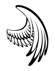 Wings sketch. Stylized birds wings. Hand drawn contoured stiker wing in open position. design elements in coloring style