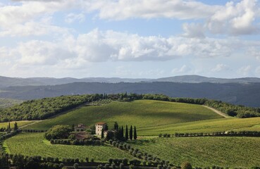 Fototapeta premium Tuscany Hills and Vineyards