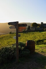 Rustic signpost in Tuscan vineyard at sunset.