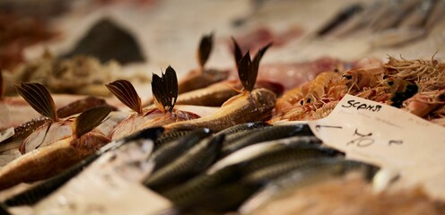 Fresh seafood at market