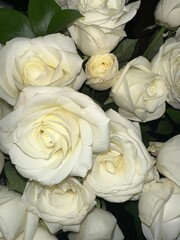 bouquet of white roses
