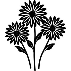 black and white flowers