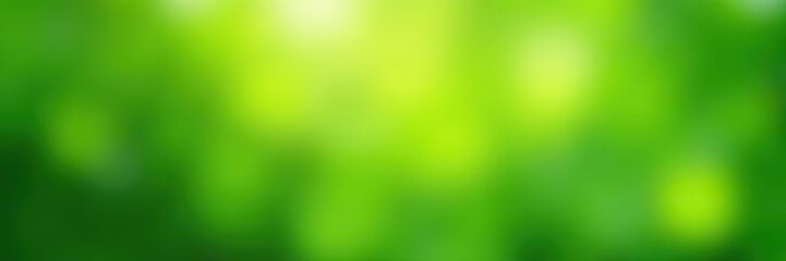Abstract green natural bokeh background with soft focus effect,  environmental,  bright