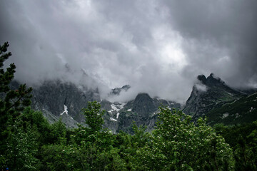 rocky mountains in the fog