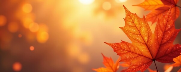 Fototapeta premium Abstract leaf background in warm hues for autumn, vector, natural, foliage