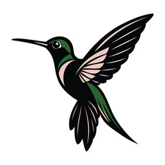 Obraz premium Colorful Hummingbird Vector Illustration