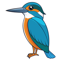 Fototapeta premium Vibrant Kingfisher Bird Vector Illustration