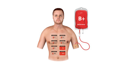 A medical infographic displaying B Positive blood donation, transfusion details, and recipient compatibility in clinical and emergency settings, 3d