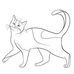 Minimalist cat - line art. 7.