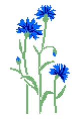 A bouquet of three wildflowers of cornflowers highlighted on a white background. Pixel art.pattern for knitting, embroidery and children's creativity