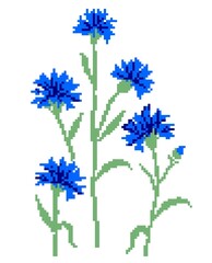 Bouquet of five cornflowers isolated on a white background. Pixel art. Pattern for knitting, embroidery and children's creativity