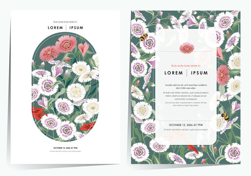  A Colorful Field of Blooming Dianthus Flowers. Vector illustration of template set in Minhwa, Korean Folk Painting Style 	