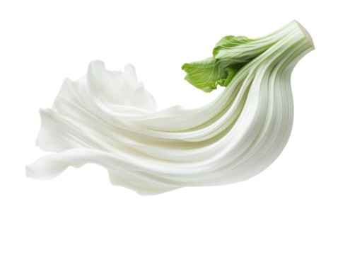 Fresh lettuce leaves flowing in culinary creativity and health on a transparent background, cut out