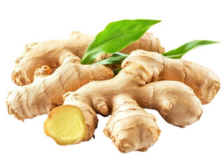 Isolated Ginger Roots with Leaf