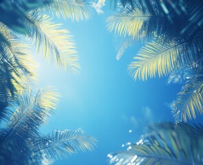 Looking Up at Palm Trees with Bright Blue Sky and Sunlight