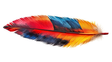 Colorful feather on a transparent background. The colors range from red and orange to blue and yellow.