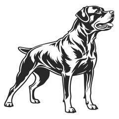 Rottweiler black silhouette icon vector