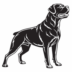 Rottweiler black silhouette icon vector
