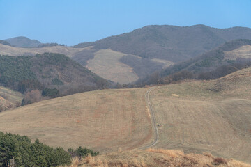 평야