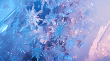 Close-up Crystal Snowflakes, Winter Display, Festive Background