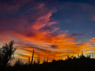 Fototapeta premium sunset over the field