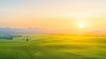 Obraz premium Sunrise over Rolling Green Hills, Golden hour landscape, scenic view of sunrise over farmland.
