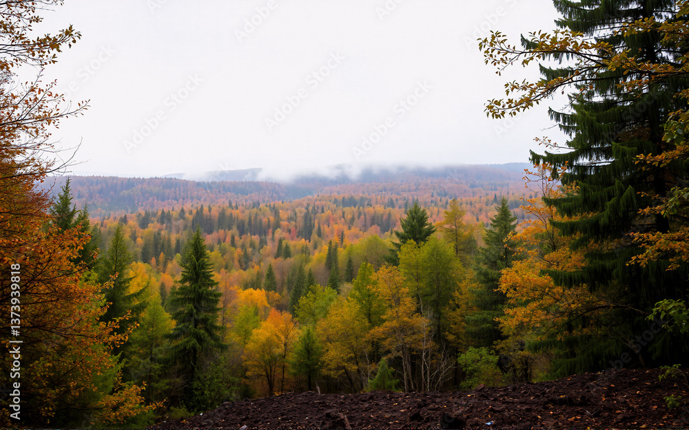 Poster overlooking an autumn forest with vibrant fall foliage beneath a cloudy sky. colorful trees stretch 