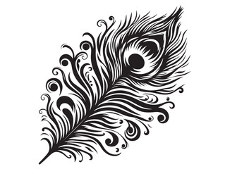 silhouette of peacock feather logo vector, peacock feather logo icon silhouette, Vector silhouette of a peacock feather, black and white peacock feather silhouette isolated on white background