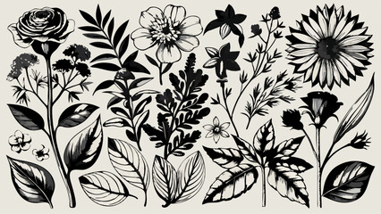 Collection of monochrome botanical illustrations featuring various flowering plants and foliage. Detailed line art depicts stems, leaves, and