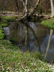 Parco Sempione in Milan, Italy, at March