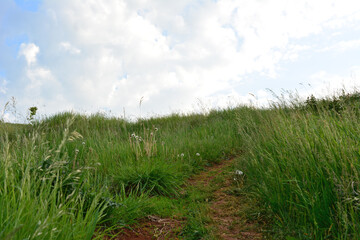 A path through a grassy field under a cloudy sky