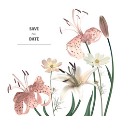 Lilies. Cosmos flower. Wildflowers. Beautiful bouquet of pink and white flowers on a white background. Floral background. Tiger lily.