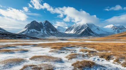 A dramatic tundra landscape with frozen ground, scattered patches of grass, and towering snow-covered mountains in the background.