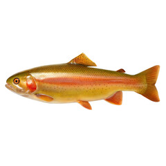 Fototapeta premium Golden Trout AI Generated Image