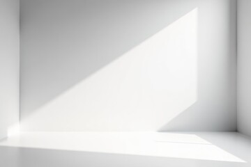 Empty studio background with light and shadow White and grey gradient backdrop for product photography Studio room, abstract, vector illustration,  abstract, empty