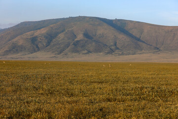 Berg-Relief Ngorongoro Krater © codo97