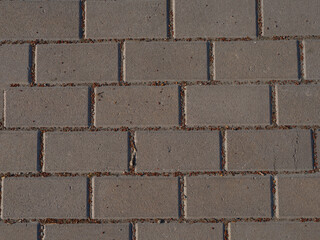 Close-up of pavement texture with rectangular paving slabs with arranged in a uniform pattern.