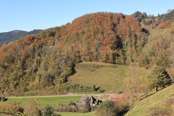Obraz premium Sonniger Herbsttag im Münstertal im Hochschwarzwald