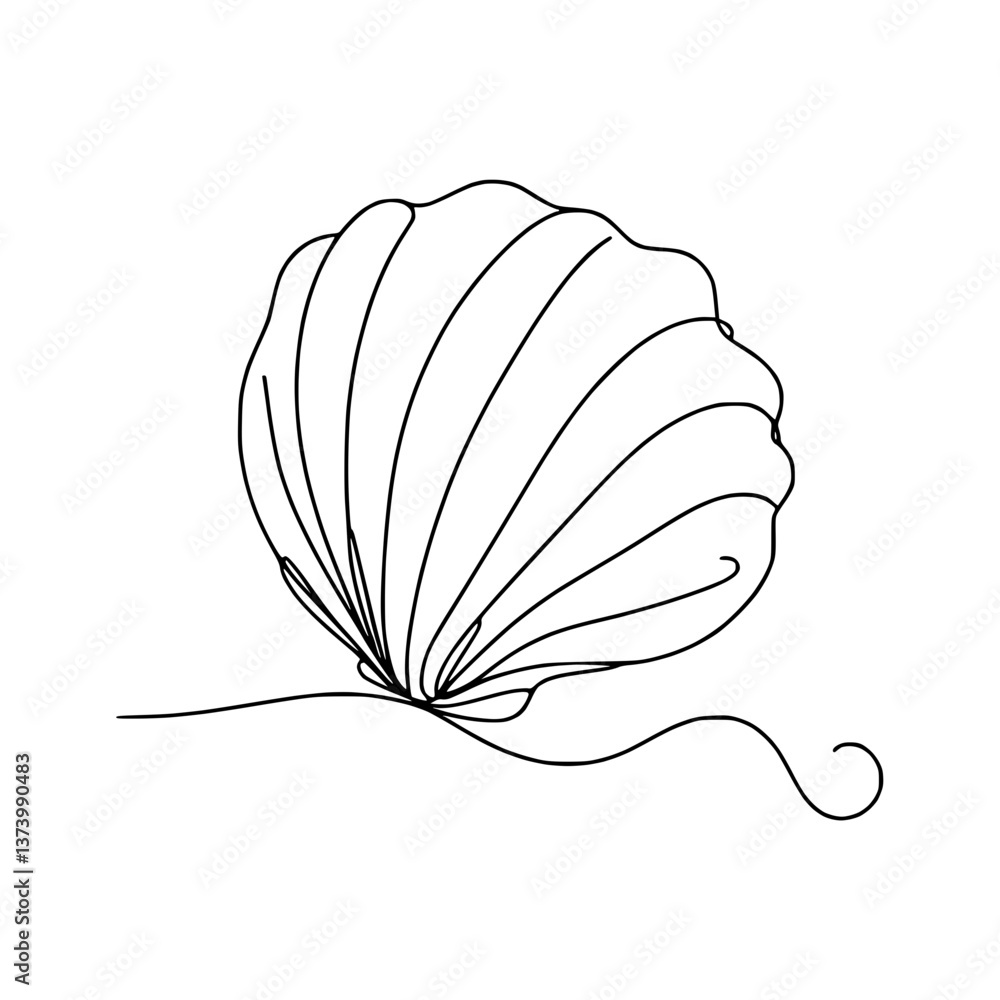 Poster minimalist line drawing of a seashell on a transparent background