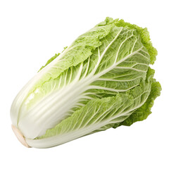 Hakusai (napa cabbage),  isolated on a transparent background