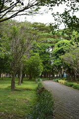 alley in the park