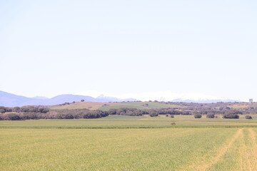 Obraz premium Endless steppe landscape