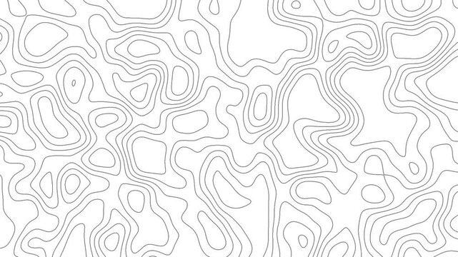 Topographic Map Background