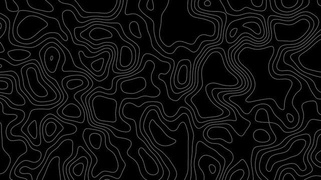 Topographic Map Background