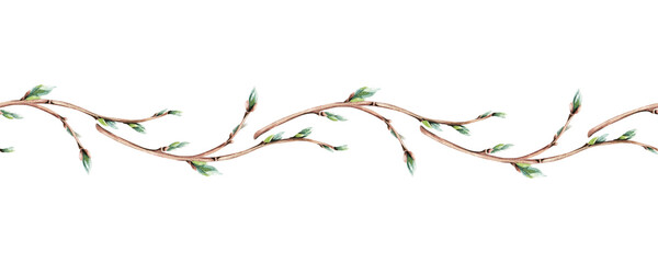 Seamless border of willow, sallow. Horizontal pattern. Hand drawn botanical watercolor illustration isolated on white background. For clip art greeting cards invitation packages.
