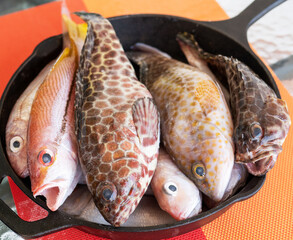 Fresh fish