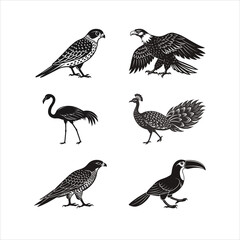 Bundle of American Kestrel, Bald Eagle, Flamingo, Peacock, Peregrine, Toucan Birds Silhouette Vector Illustration