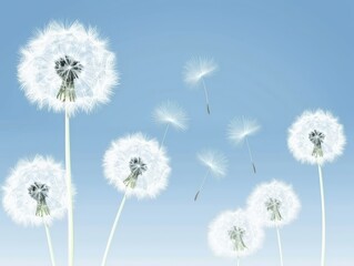 Obraz premium Dandelions floating in a serene blue sky