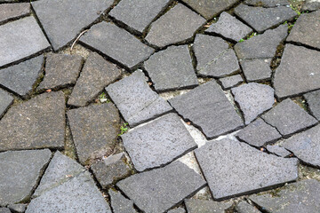 Cracked concrete pieces forming a mosaic pattern on the ground. Rough texture, irregular shapes, and small patches of green.