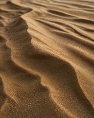 Fototapeta premium The sand dunes in the desert create beautiful, wavy patterns.